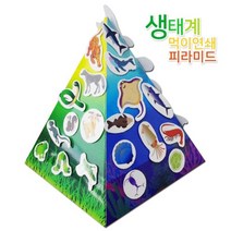 생태계 먹이연쇄 먹어사슬 피라미드 만들기 (5인)