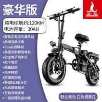 피닉스 접이식 전기자전거 초경량 48v 35ah 140km운행 대리운전픽업 배달용, 20AH, 퓨전 120km30AH파나소닉 셀