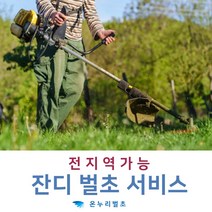 잔디깍기 벌초비용 제초 잡초제거 산소잔디 벌초가격 벌초대행비 잔디깎기 예초작업 잔디관리 풀베기 산소관리 묘지잔디 묘지관리 묘잔디