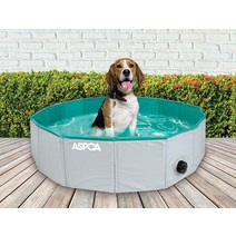 ASPCA 접이식 야외 애완 동물 목욕 강아지 수영장 개 고양이 80 cm x 20 658392, Gray