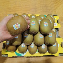 제스프리 골드키위 키위 뉴질랜드 점보사이즈 한박스 5.8kg, 점보 1박스(5.8kg)