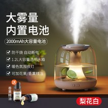 가열식가습기 웰포트 가열식 가습기 휴대용 무음 침실﻿ 2대 세트, A