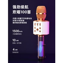마이크 오디오 홈 무선 블루투스 노래방 장비 세트, 딥 스페이스 그레이 보내기 보관함  충전 케