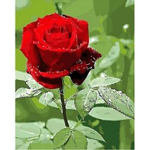 유쾌한컴퍼니 DIY 유화그리기 명화그리기 세트 40X50 200종, A-270 장미 한송이