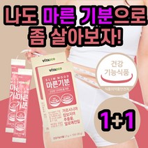 비타 에코 가르시니아 캄보지아 추출물 알로에 카르시니아 단기 다이어트 체지방 감소 배변 활동 도움 중년 주부 부모님 20대 30대 40대 환 타입 식 약 처 인증 건강 기능 식품, 20포(1+1)