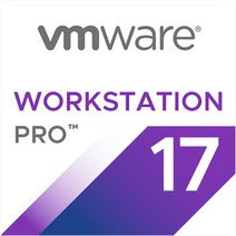브이엠웨어 VMware Workstation 17 Pro 교육용 영구사용 V17, 단품