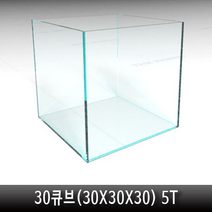 링크아쿠아 30x30 (cm) 30큐브 가정용 유리 수족관