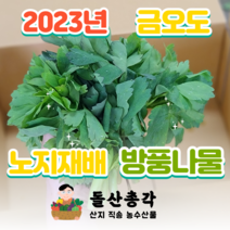 여수 금오도에서 키운 노지 방풍나물 4kg