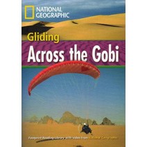 Gliding Across the gobi, 와이비엠시사