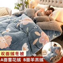 QINGHAIZHEN 겨울용 가벼운 양털극세사 이블 _b10