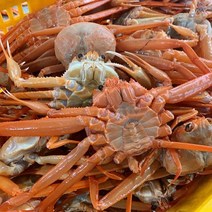 구룡포 자숙 홍게 연지홍게 1.5kg~3kg 구룡포홍게 포항홍게 박달홍게 자숙 연지 홍게 배달 포항 연지 홍게 택배 라면용홍게 육수용홍게, 자숙 연지홍게, 3kg 10~13미 프리미엄 박달급
