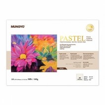 문교 파스텔 전용지 화이트 160g, A4, 30매
