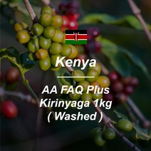 [커피생두] 케냐 AA FAQ 플러스 키리냐가 워시드 1KG