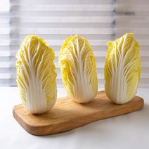 온샘팜 알배기배추 3통 알배기 쌈배추, 700g, 3개