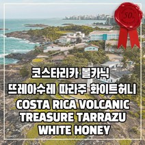 (커피생두) 255 코스타리카 볼카닉 뜨레아수레 따라주 화이트허니 1kg