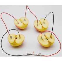 아연 구리 LED 과학 과일 전기 실험 키트 방과후활동 실험과학 화학실험 화학
