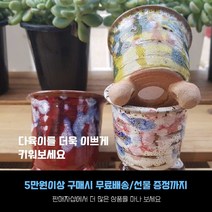 다육 다육화분 - 마블 컵화분 3종세트 예쁜화분