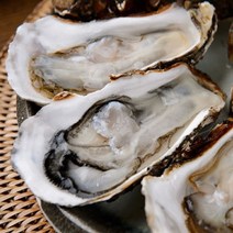 [착한어부] 하프셀(반깐굴) 30-35미, 상세 설명 참조