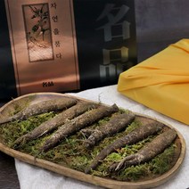 자연산 더덕 강원도 야생 겨울 더덕 산지직송 산더덕 선물세트 국내산 100%, 400g, 1개