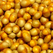 깐은행 1kg (대) 국산 햇 은행 벗긴 은행 피를 깐 은행 쪽빛누리, 깐은행 1kg (대) 국산 겉피를 깐, 1개