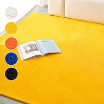 딜라이트 파르바 단모 극세사 워셔블 러그 카페트 매트 (5color/6size)