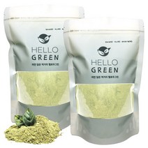 헬로우그린 보성 녹차 가루 500gX2(팩) 분말 녹차잎 대용량 총1kg, 2개, 500g