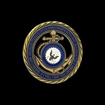 기념주화 메달 매달 베지 미국 밀리터리 해병대 미 육군 공군 해군 도전 동전 명예 용기 컬렉션 베테랑 기념품 선물, [05] E