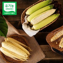 이호 강원도 홍천 유기농 찰 옥수수 여름 간식 10개 20개 30개, 이호 유기농 강원도 옥수수 10개