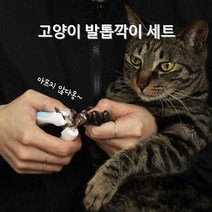 안전한 손쉬운 고양이 강아지 발톱깍이 손톱깍이 발톱관리 발톱깍기 반려동물 혈관보호
