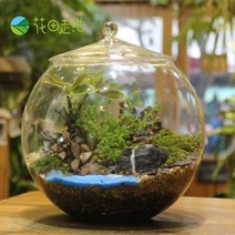 테라리움 유리병 용기 뚜껑 포함 유리볼 비바리움, 지름 20cm