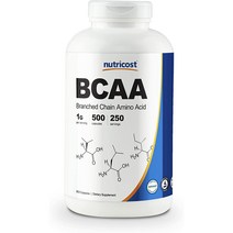뉴트리코스트 BCAA 500mg 500캡슐 1통 루신 발린 아리소루신