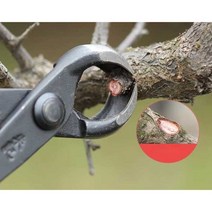 분재 혹가위 원예 나뭇가지 화훼 농원 가지치기 조경, B11B (290mm), 1개