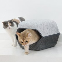 가또나인 펜타곤 펠트 고양이 숨숨집, 1개