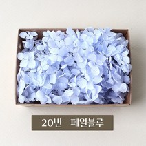 화연양화 블루밍수국 박스수국 컬러최다 30색! 프리저브드플라워, 20 페일블루