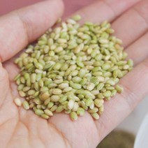 국산 녹색쌀 찰 녹미1kg, 1kg