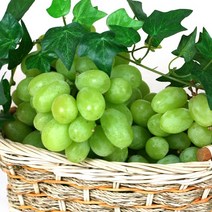 냉동과일 청포도3.0kg(1000gx3팩) /DJ 간편한사용. 씨가없어 드시기 편리, 1KGX3팩