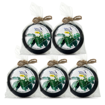 [SET] 킹피셔스 노니 베이직 비누 5개 세트 사이판 괌 기념품 클렌징