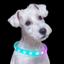 [강아지펜던트] 니즈더펫 강아지 야광 LED CUSTOM 밴드 목걸이, 초록