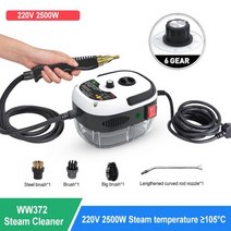 2500W 가정용 스팀 청소기 고온 살균 에어컨 주방 후드 자동차 스팀 청소기 110/220V 에어컨 주방 기름 때 청소, 중국, 하얀색, 유럽 연합 + 220V