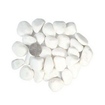 화분월드 백자갈 흰돌 15Kg, 타입:백자갈5호(대포장)