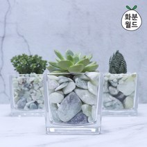 [화분월드] 옥자갈 (대포장) 정원자갈 주차장자갈 화분돌 어항돌, 타입:옥자갈3호(대포장)