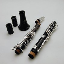 클라리넷 뷔페 Crampon E13 A 튠 목재 소재 바디 17 키 케이스 마우스 피스 포함된 악기, [01] Bakelite