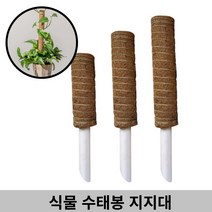 감성살롱 코코넛섬유 수태봉 넝쿨 필로덴드론 몬스테라 관엽 식물 지지대 길이연장, ≫☆2-식물지지대(50cm)1개★≫