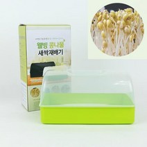 웰빙 콩나물 새싹 재배기 시루 미니 텃밭 재배 키트 가정용 채소 키우기 콩나물재배기, 1개
