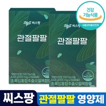 차승원 관절건강 씨스팡 관절팔팔 초록입홍합오일 캡슐 식약처 인증 친환경 그린 푸른 녹색 초록 초롱 잎 입 홍합 초롱이 시스팡 씨스팜 관절 무릎 연골 88 홈쇼핑 방송 광고, 6개, 56캡슐