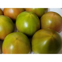 산지직송/짭짤이 토마토(부산/강동) 짠맛/단맛/신맛 토마토 햇 토마토 2.5kg 5kg, (정품 3~5 사이즈) 2.5kg