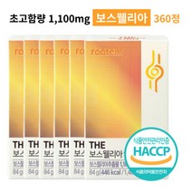 보스웰리아 고함량 고농축 고관절 무릎 어깨 손목 연골 관절 HACCP 식약처인증 추천, 보스웰리아 6개