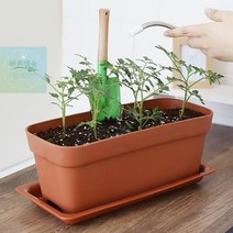 베란다 텃밭 가꾸기 도시농부 상추 키우기 원예 중형 화분 국산, 화이트