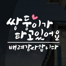 108 STUDIO 쌍둥이기 타고있어요 차량스티커230, 230-라지