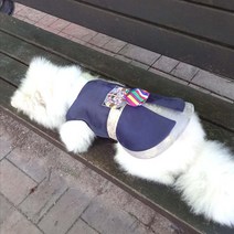 강아지 고양이 이지핏 한복 명절 설빔 돌잔치 생일파티, [푸르] 블루 남아 한복